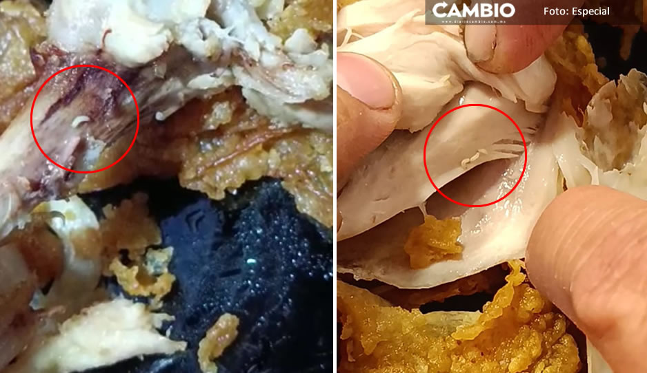 ¡Guácala de pollo! Exhiben en redes larvas vivas en alimentos de KFC (VIDEO)