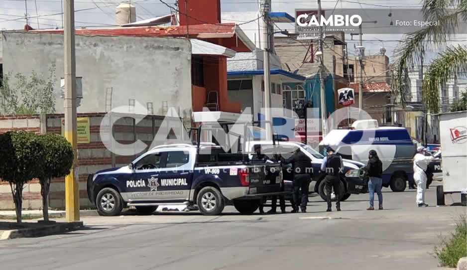 Brazos, piernas y una cabeza humana, fueron los restos hallados en Tres Cruces
