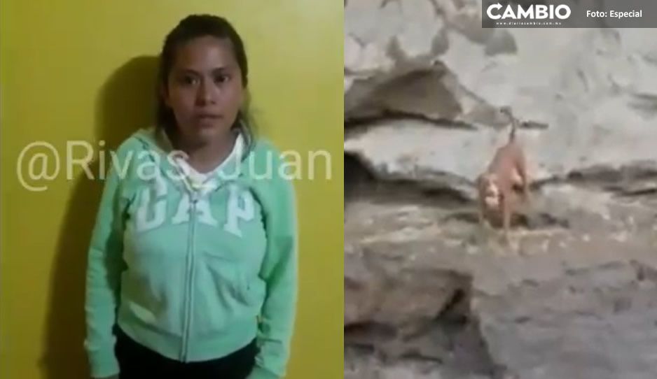 VIDEO: Así Fátima, dueña del perrito Spay pidió al gobierno rescatar al lomito