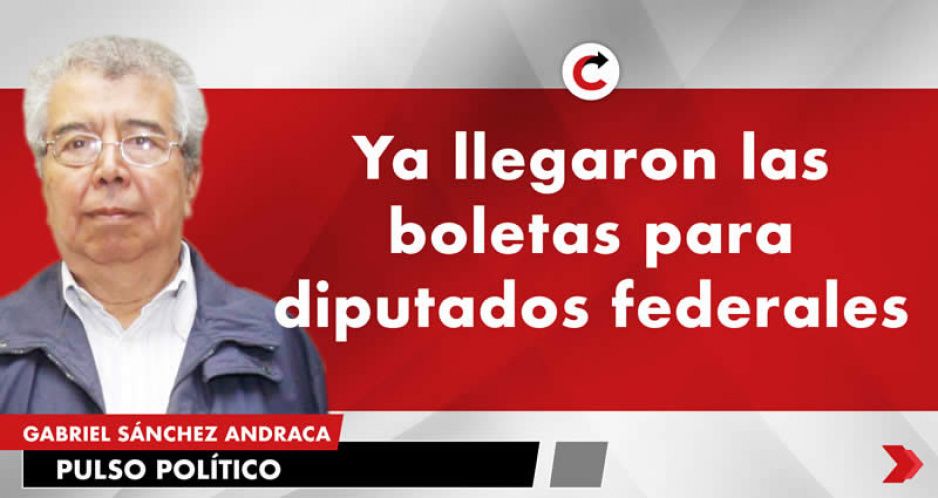 Ya llegaron las boletas para diputados federales