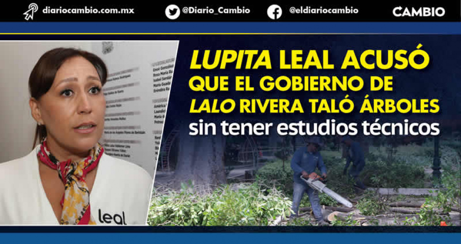 Lupita Leal busca frenar tala inmoderada de árboles como la realizada por el gobierno de Lalo en el Centro Histórico