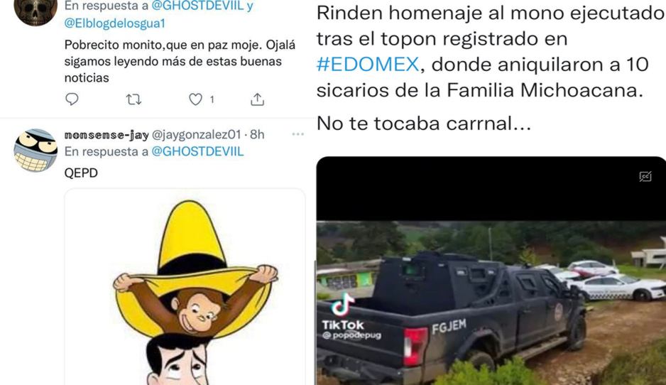 Dan último adiós a monito abatido en Edomex con conmovedor TikTok