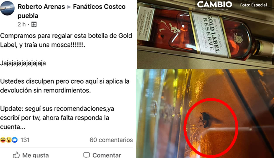 Compra en Costco Puebla una botella de Gold Label…y le sale una mosca en el whisky