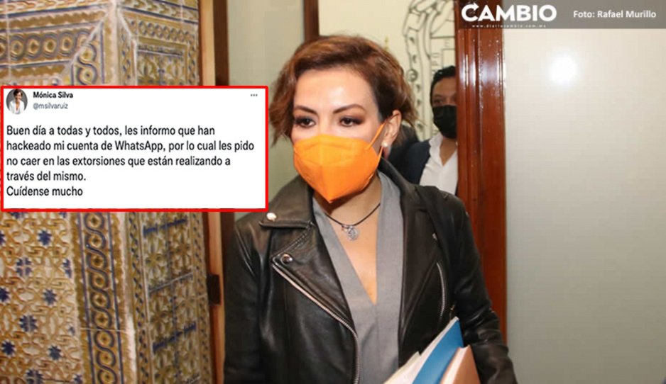 Hackean WhatsApp de la diputada Mónica Silva para extorsionar a sus contactos