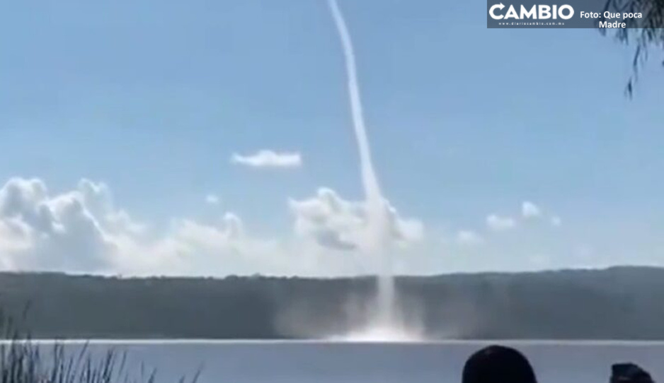 ¡Wow! Se forma culebra acuática en lago de Michoacán (VIDEO)