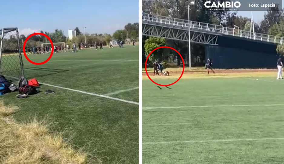 VIDEO: Partido de fútbol acaba en golpes en el Parque del Arte