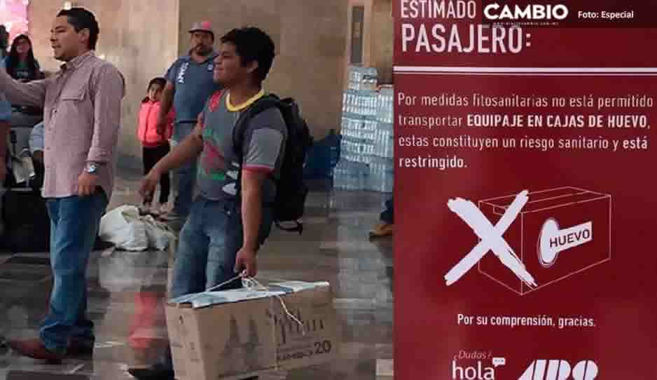 Se volvieron Fifís: ADO prohíbe equipaje en cajas de cartón