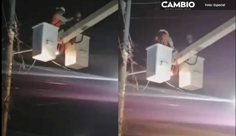 ¡De película! Gatito es rescatado de un poste de luz en la Loma (VIDEO)