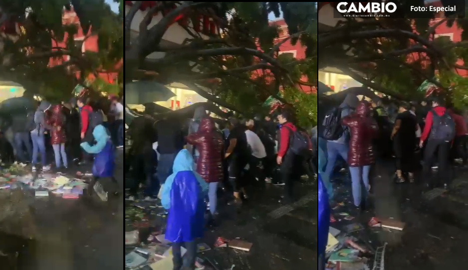 ¡Terrible! Le cae un árbol a mamá acompañada de su hijo en la calle 5 de Mayo (VIDEO)