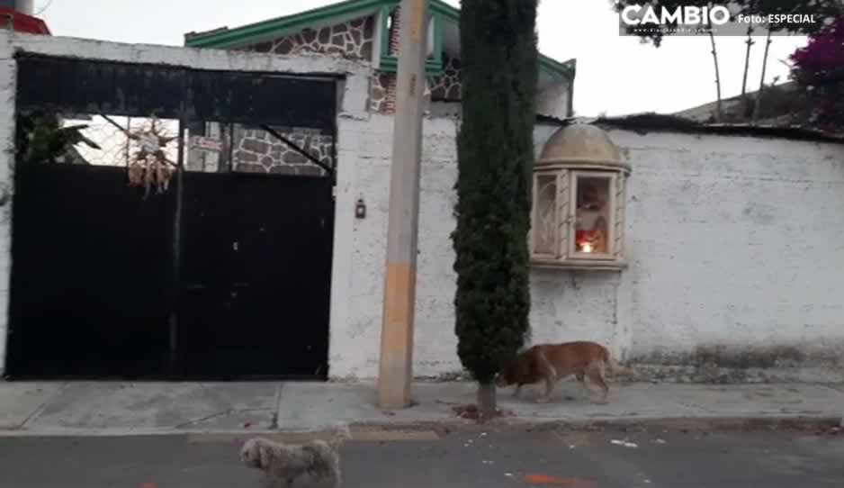 Balean a dueño de vivienda durante violento asalto en Fuentes de San Aparicio (VIDEO)