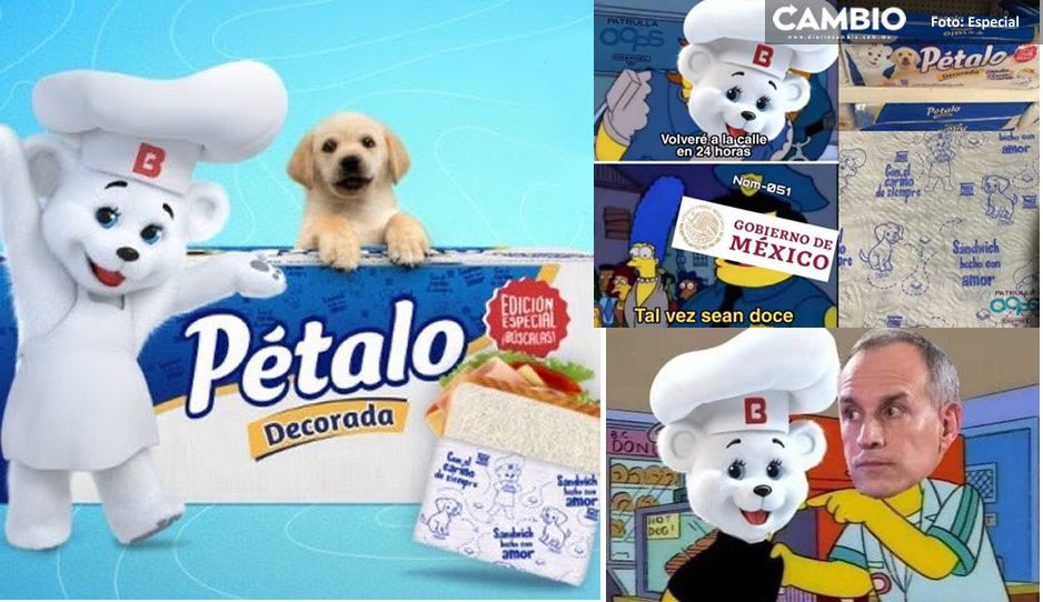 ¡Creatividad pura! Estos son los mejores memes de la reaparición del Osito Bimbo