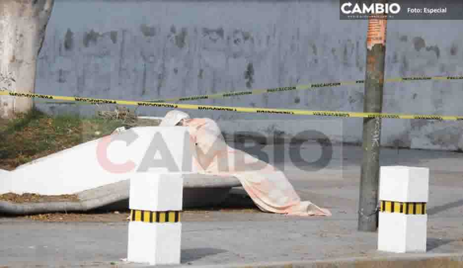 Ya van 25 indigentes muertos en Puebla; el último fue hallado en el Parque Santa Anita
