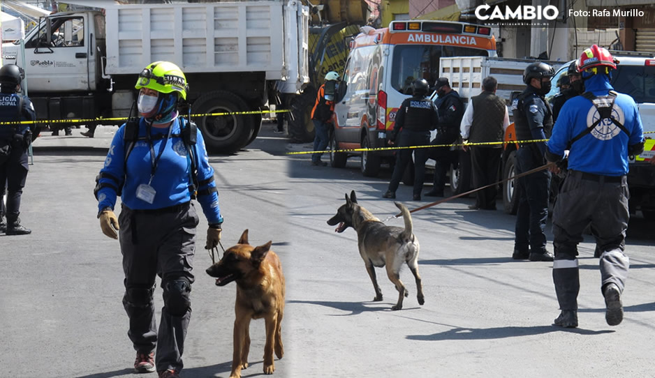 Caninos y bomberos siguen buscando a víctimas atrapadas en explosión de Defensores (FOTOS)