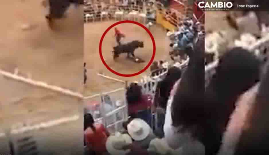 FUERTE VIDEO: ¡Paramédicos urgente!, jinete es arrollado por toro en Morelia