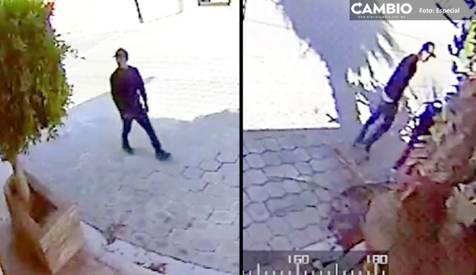 ¡Delincuencia imparable! Hasta las casas de los perritos se roban en Tehuacán (VIDEO)