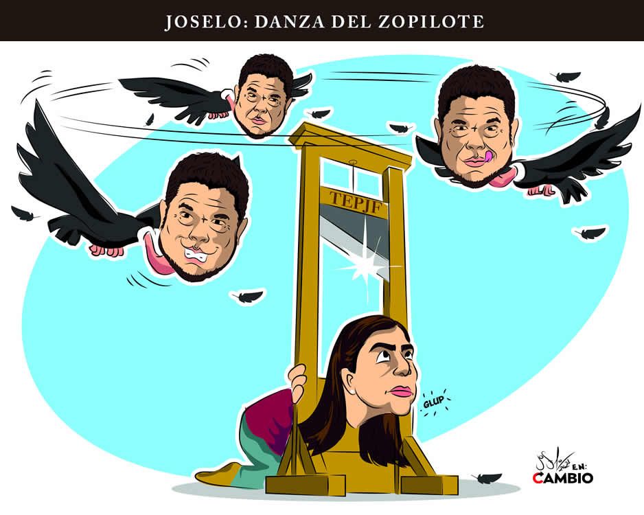 Monero Joselo: DANZA DEL ZOPILOTE