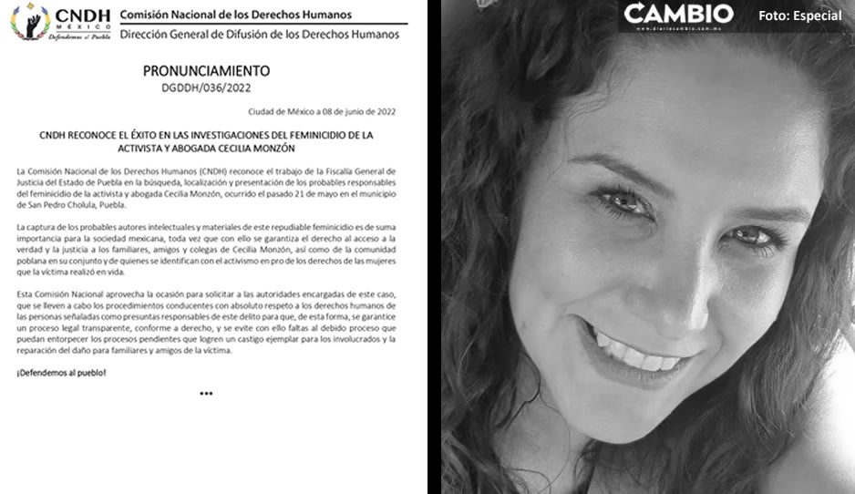 CNDH aplaude investigaciones de la Fiscalía sobre el feminicidio de Cecilia Monzón