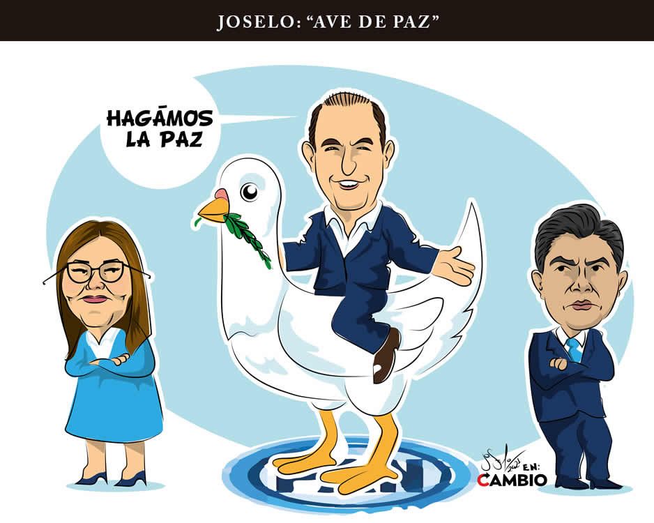 Monero Joselo: “AVE DE PAZ”