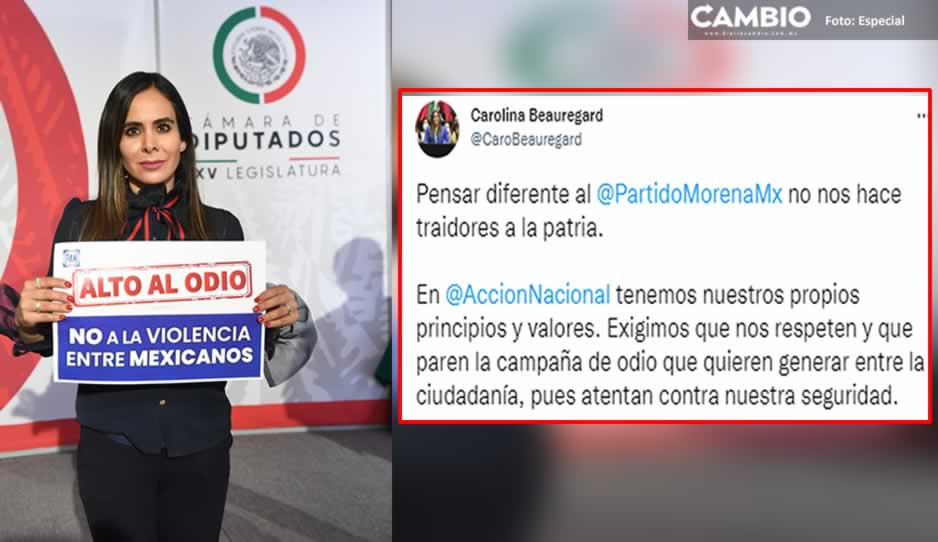 Pese a que es una ‘traidora a la Patria’, Beauregard no aguanta la presión y pide acabar con los ataques