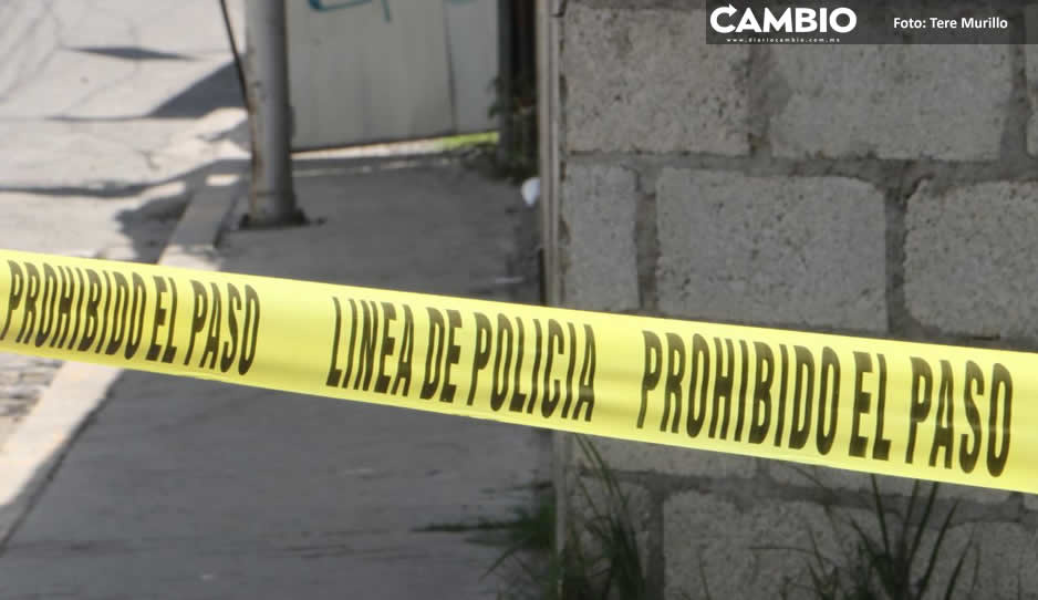 Pitbull asesinó a pepenador que ingresó a una talachería a recolectar PET en Xicotepec