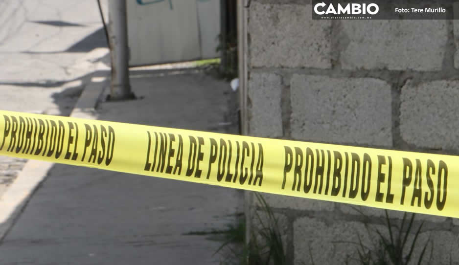 Pitbull asesinó a pepenador que ingresó a una talachería a recolectar PET en Xicotepec