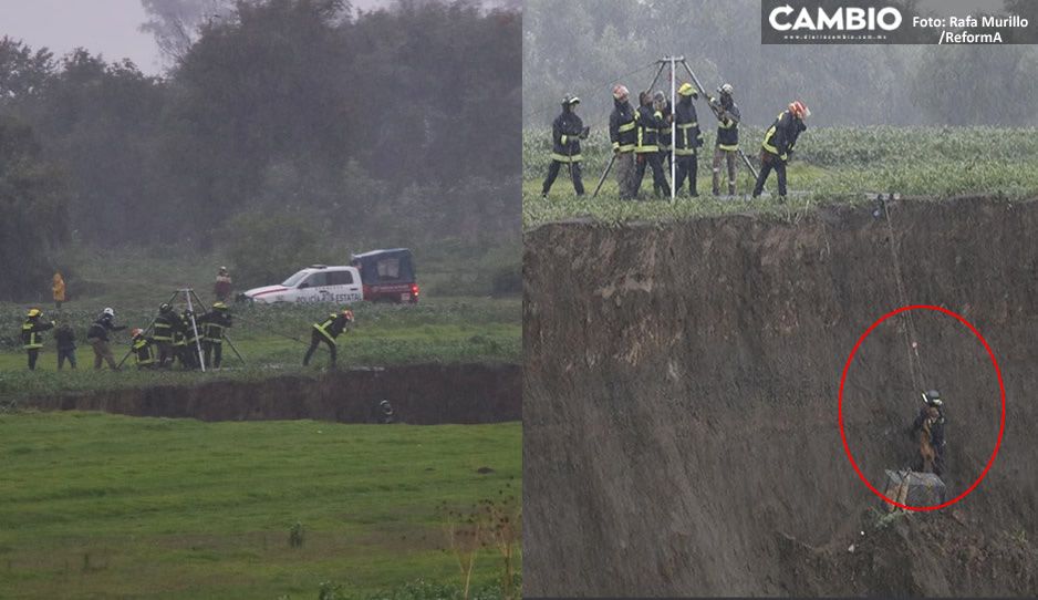 Paso a pasito: así fue la estrategia para rescatar a los perritos en el socavón (VIDEO)