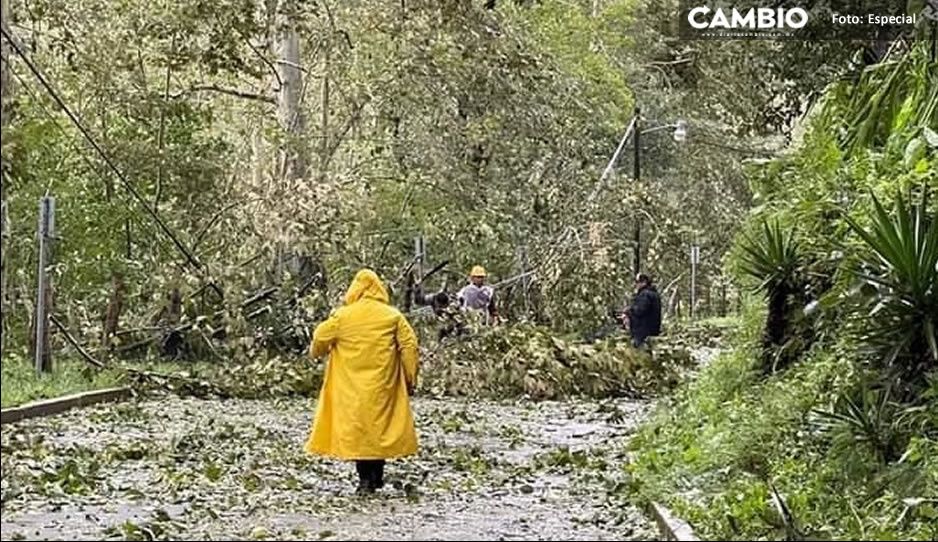 El desastroso paso de Grace; ha tirado postes y bloqueado caminos en la Sierra Norte de Puebla