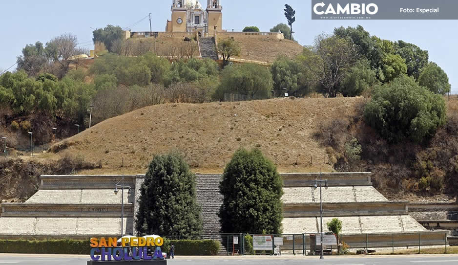 Denuncian invasión de perros agresivos en la zona arqueológica de Cholula