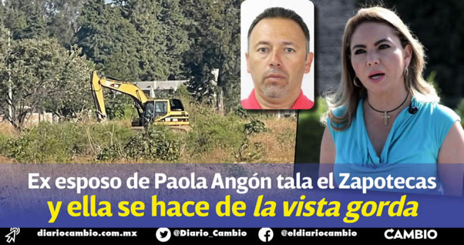 Paola Angón solapa tala ilegal en el Zapotecas a manos de la inmobiliaria de su ex esposo