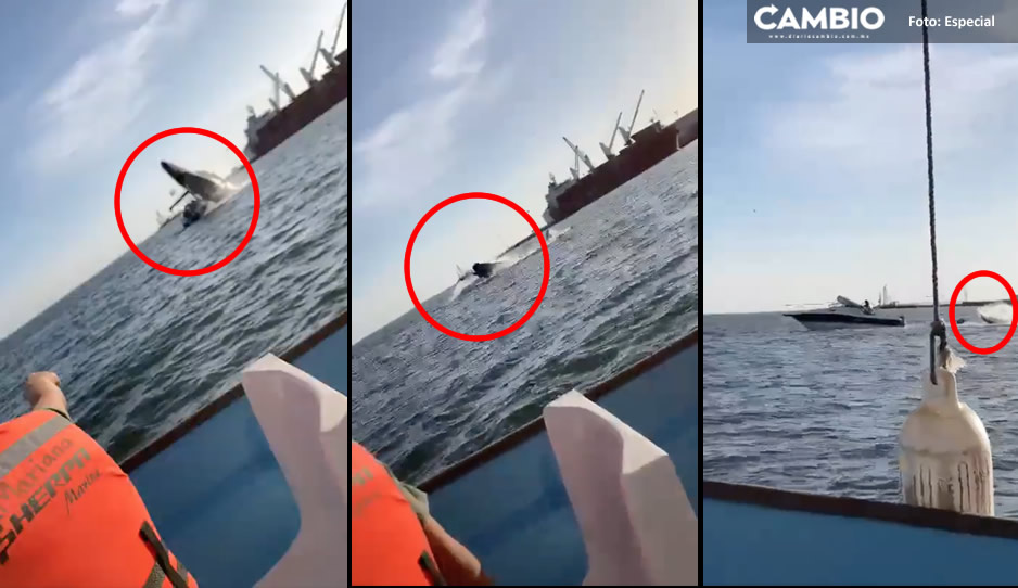 ¡Qué susto! Ballena salta y cae sobre lancha de turistas en Sinaloa (VIDEO)