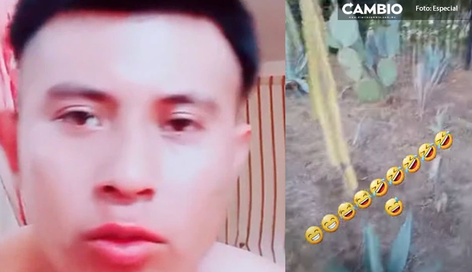‘Parecen marranos’ TikToker se mofa de los mexicanos por comer nopales y desata furia en las redes (VIDEO)