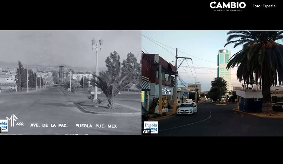 ¡Cómo ha cambiado! Avenida de la Paz en 1901, ahora Avenida Juárez