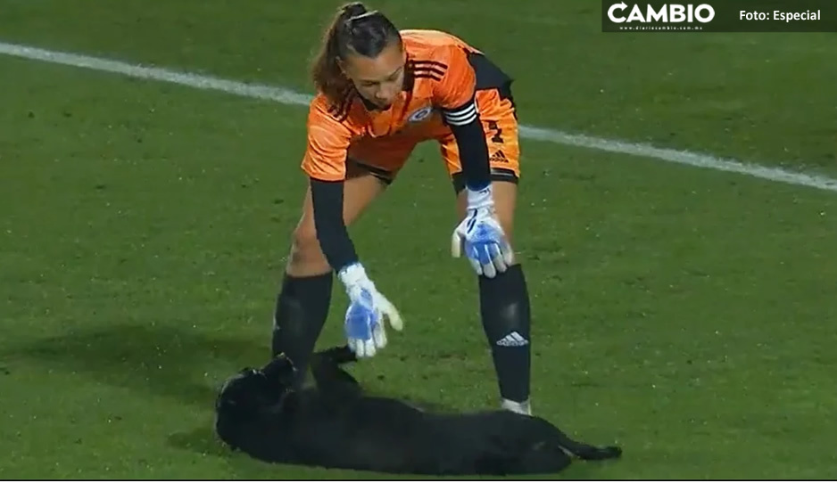 VIDEO: Lomito invade cancha e interrumpe el Chile vs Venezuela de la Copa América femenil