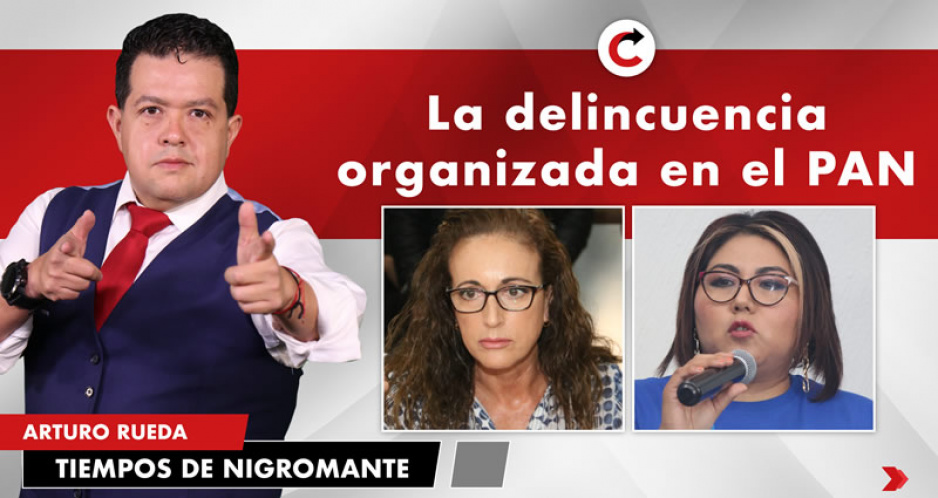 La delincuencia organizada en el PAN