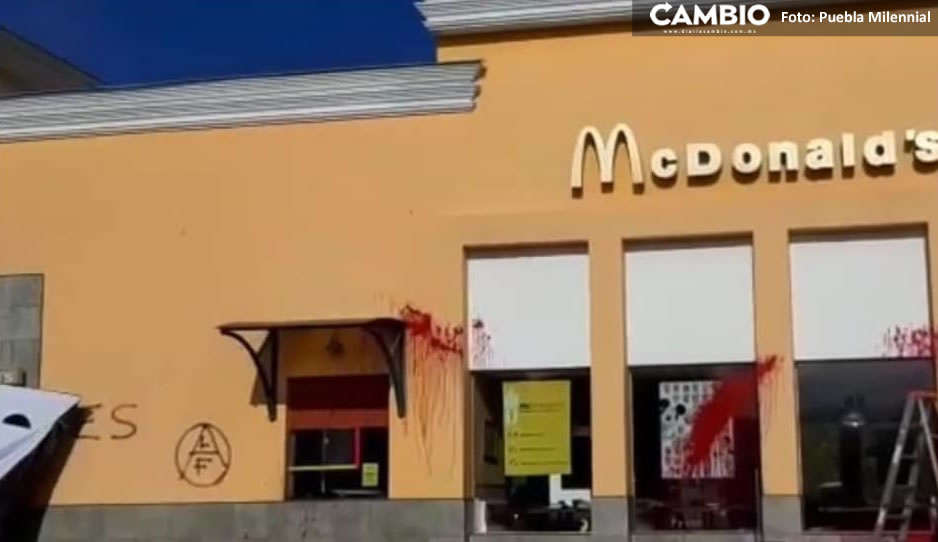 “Carne es asesinato”: así veganos vandalizaron McDonald’s de San José en Puebla (FOTOS)