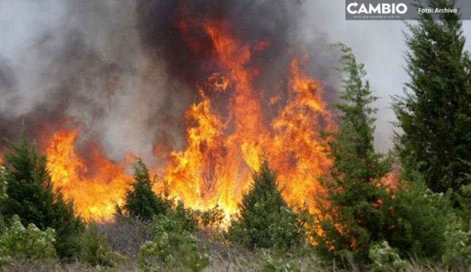 Reportan tres incendios forestales activos en La Malinche, Cuetzalan y Palmar del Bravo