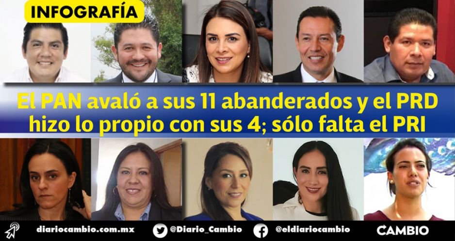 Definidos ya 15 candidatos a diputados locales del PRIANRD (VIDEO)