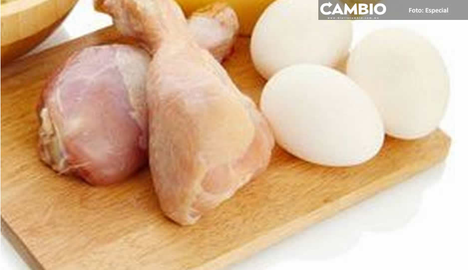 Prevén aumento de precio del pollo y huevo por gripe aviar en Monterrey