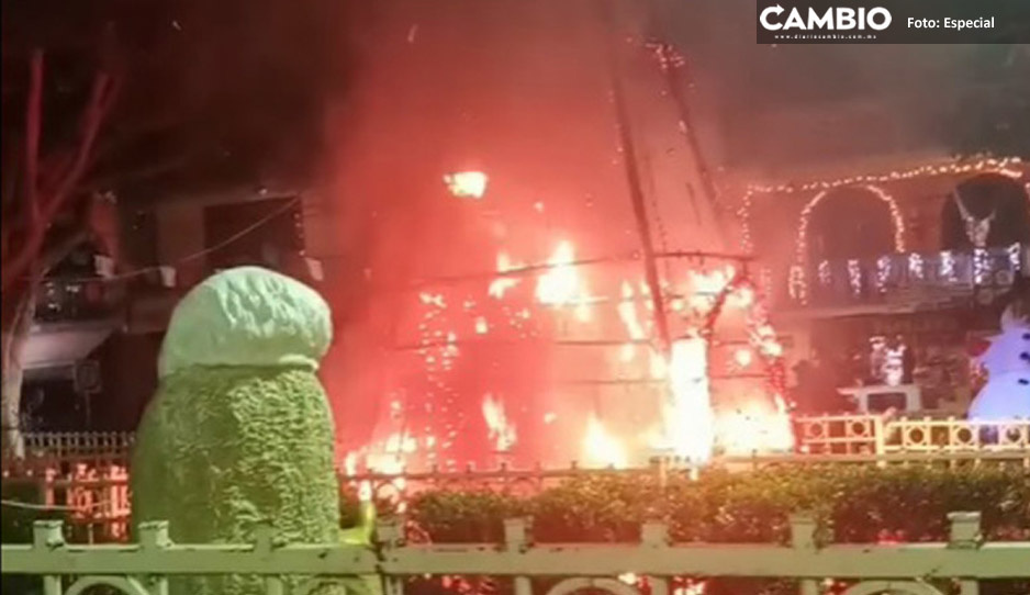 ¡Tragedia navideña! Árbol de Navidad se incendia en Guanajuato (VIDEO)