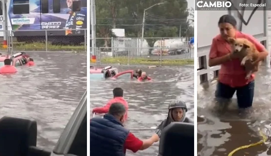 VIDEO: Rescatan a una pareja de abuelitos y a su lomito tras inundación en Guadalajara