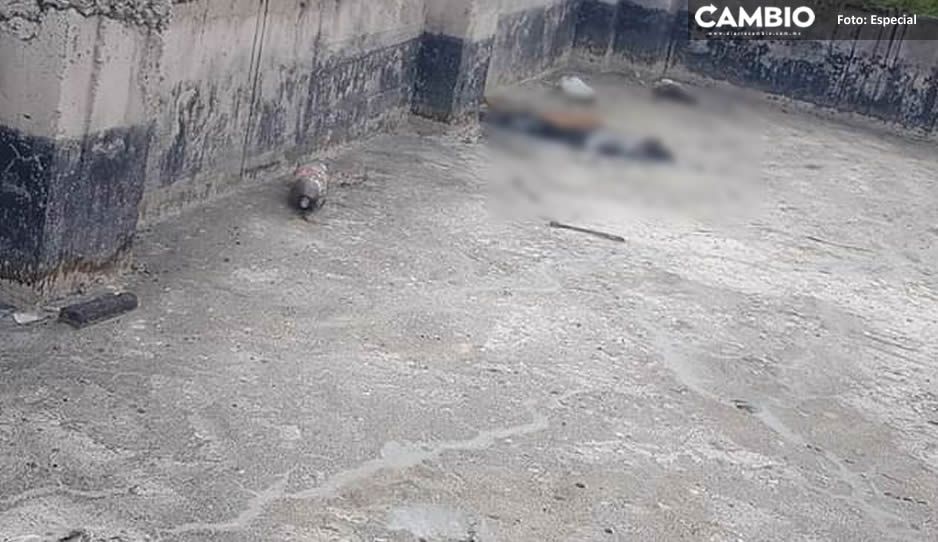 Reportan decenas de perritos muertos tras caer a una fosa de chapopote en Zacatepec