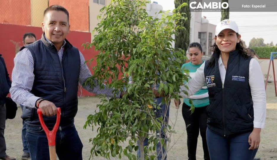 Edmundo Tlatehui encabeza jornada de reforestación en San Andrés Cholula (VIDEO)