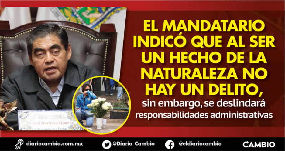 Barbosa pide investigar caída del árbol y deslindar responsabilidades por muerte de Santi (VIDEO)