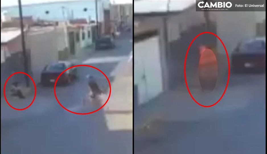 ¡Vaya crueldad! Inhumano quema viva a indigente de Celaya (FUERTE VIDEO)