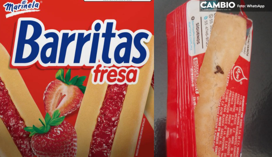 ¡Ni las Barritas se salvan! Exhiben insecto incrustado en una de las galletas de fresa