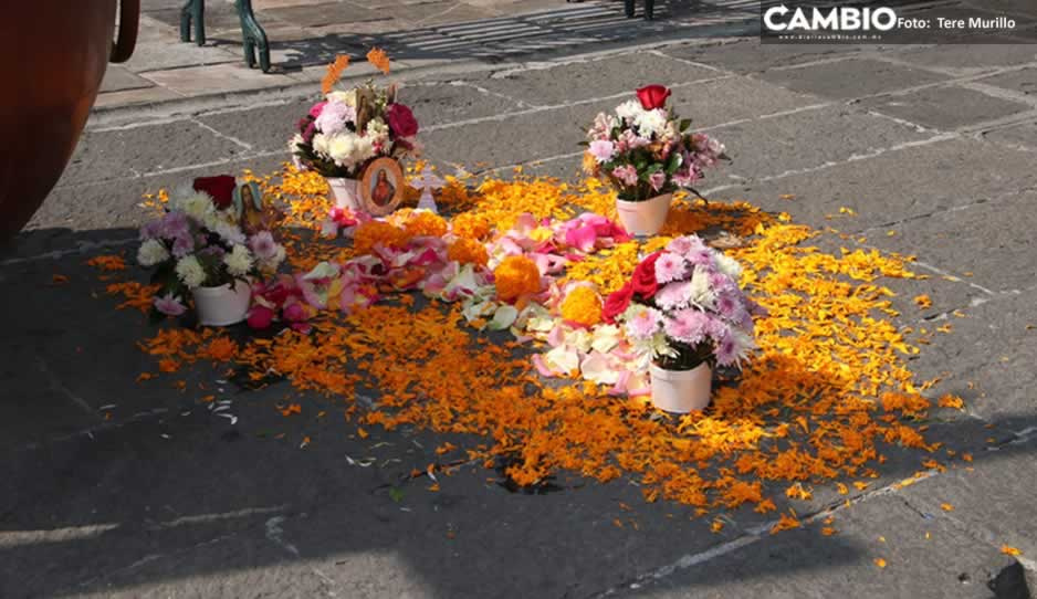 Colocan ofrenda en el Zócalo a Dany, niña que murió tras la caída de un árbol (VIDEO)