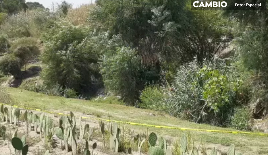 Junto al cadáver de la adolescente de Totimehuacán, estaba amarrada su bici y sus perritos