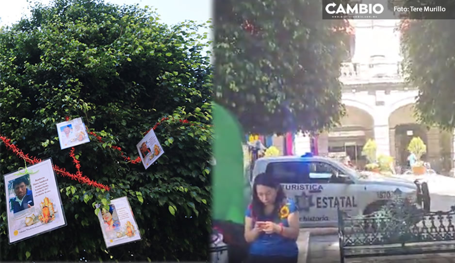 Colectivo &#039;Voz de los desaparecidos&#039; acusa al Ayuntamiento de quitar Árbol de la Esperanza (VIDEO)