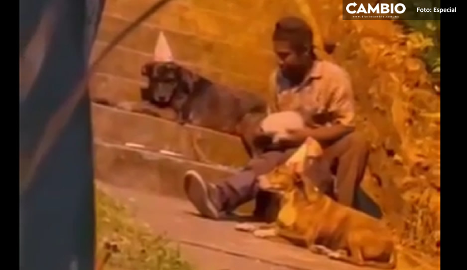 VIDEO: Captan a vagabundo con gorritos y pastel celebrando el cumpleaños de sus perros