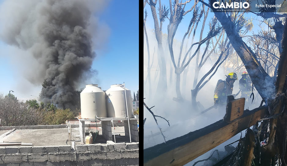 A cubetadas, vecinos tratan de sofocar incendio de terreno en colonia Arboledas de Loma Bella